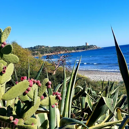 La Terrazza Sul Mare Apartment